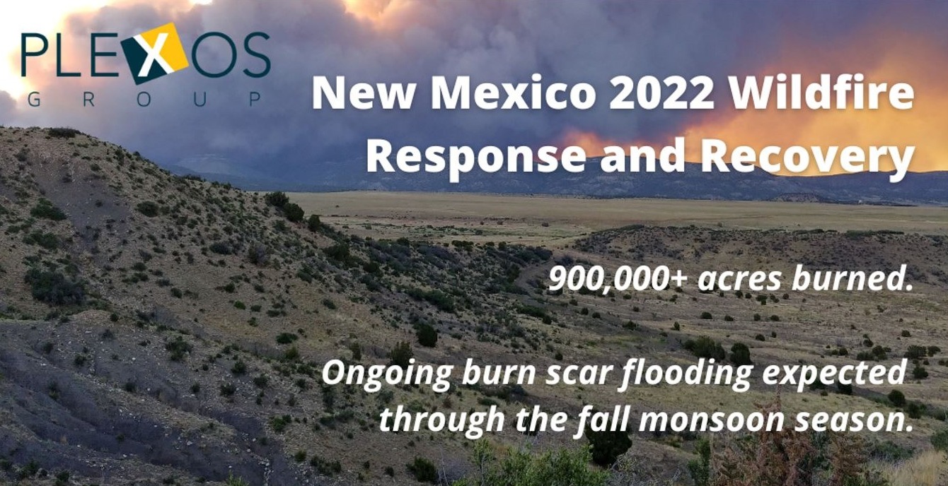 Plexos Group Helps New Mexico Address Wildfire Recovery and Mitigate